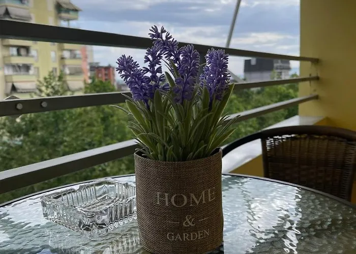 Ermes Center 아파트 엘바산